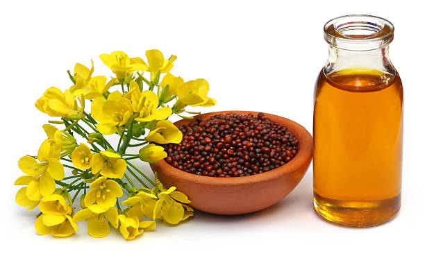 What is the Nutritional Value of Mustard Oil per 100g and Is Mustard Oil per 100g Healthy for You?