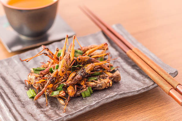 What is the Nutritional Value of Insects and Are Insects Healthy for You?