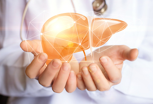 What are the Symptoms of Liver and the Treatment for Liver?