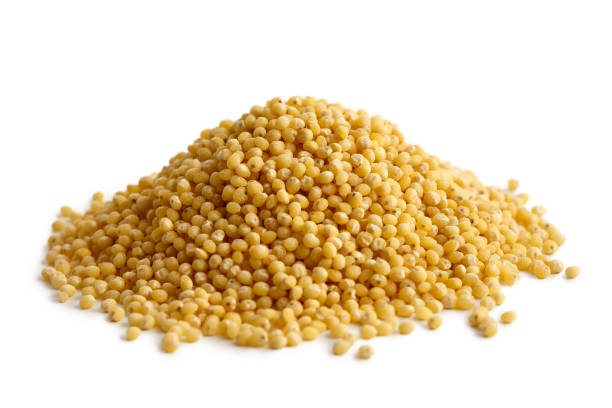 What is the Nutritional Value of Foxtail Millet and Is Foxtail Millet Healthy for You?