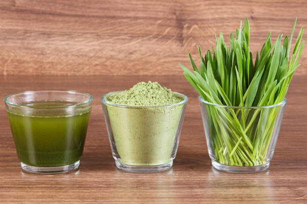 What is the Nutritional Value of Wheat Grass and Is Wheat Grass Healthy for You?