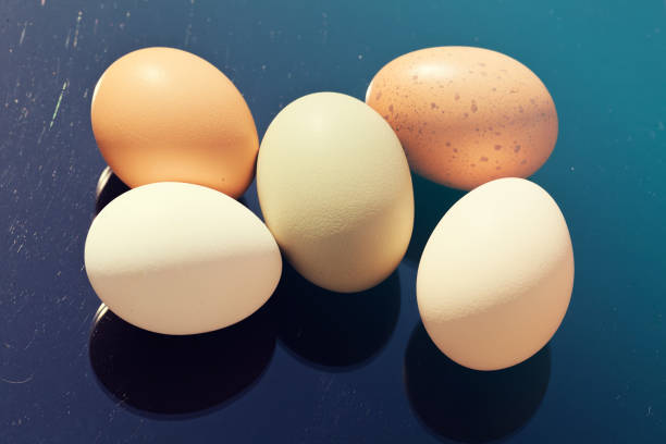 What is the Nutritional Value of a Large Egg and Is a Large Egg Healthy for You?