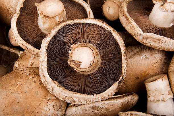 What is the Nutritional Value of Portabella Mushrooms and Are Portabella Mushrooms Healthy for You?