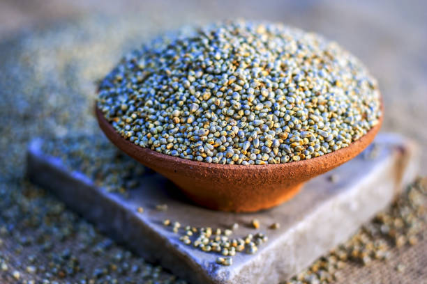 What is the Nutritional Value of Pearl Millet per 100g and Is Pearl Millet per 100g Healthy for You?
