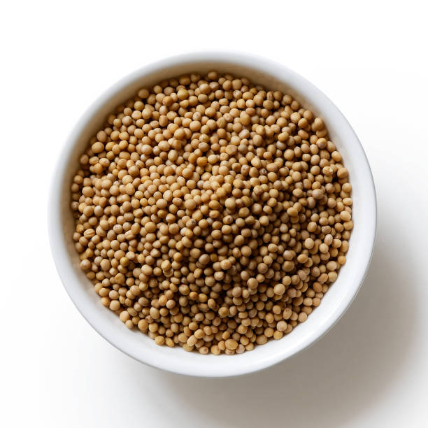 What is the Nutritional Value of Kodo Millet and Is Kodo Millet Healthy for You?