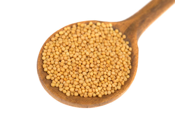 What is the Nutritional Value of Mustard Seed per 100g and Is Mustard Seed per 100g Healthy for You?