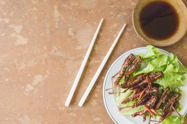 What is the Nutritional Value of Insects and Are Insects Healthy for You?