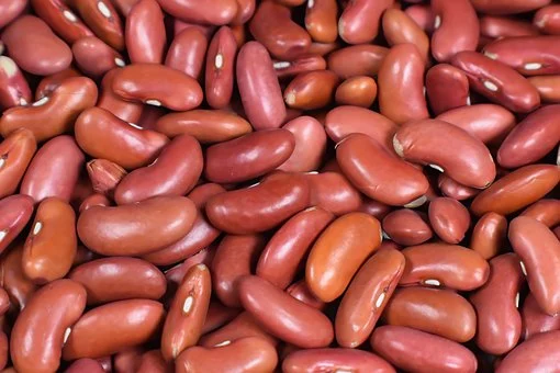 What is the Nutritional Value of Red Beans and Is Red Beans Healthy for You?