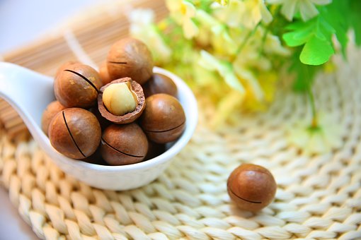 What is the Nutritional Value of Macadamia Nuts and Is Macadamia Nuts Healthy for You?