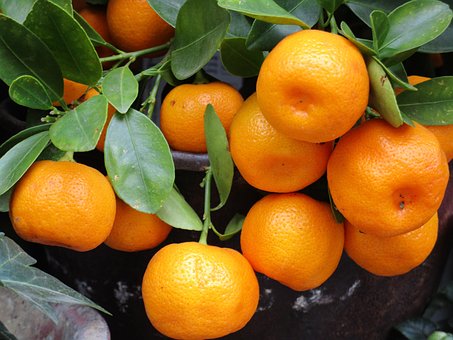 What is the Nutritional Value of Mandarin Oranges and Are Mandarin Oranges Healthy for You?