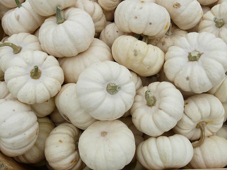 What is the Nutritional Value of White Pumpkin and Is White Pumpkin Healthy for You?