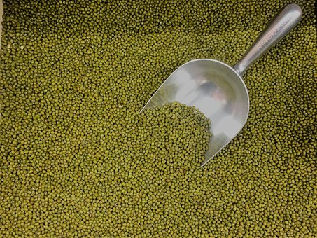 What is the Nutritional Value of Mung beans per 100g and Are Mung beans per 100g Healthy for You?