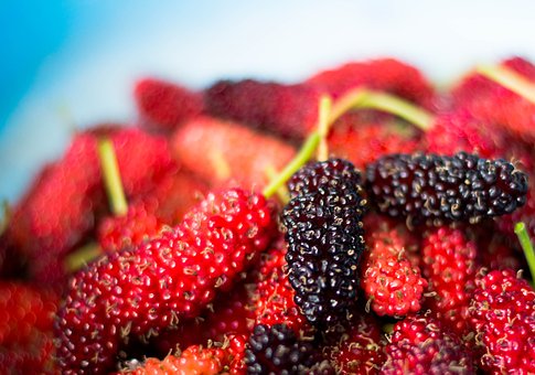 What is the Nutritional Value of Mulberries and Are Mulberries Healthy for You?