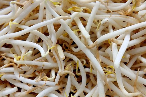 What is the Nutritional Value of Mung Bean Sprouts and Are Mung Bean Sprouts Healthy for You?