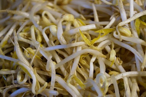 What is the Nutritional Value of Mung Bean Sprouts and Are Mung Bean Sprouts Healthy for You?
