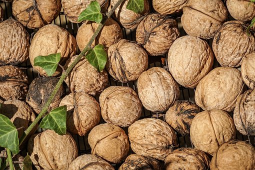 What is the Nutritional Value of Walnuts per 100g and Are Walnuts per 100g Healthy for You?