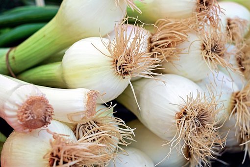 What is the Nutritional Value of Spring Onions and Are Spring Onions Healthy for You?
