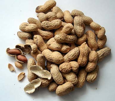 What is the Nutritional Value of Boiled Peanuts per 100g and Are Boiled Peanuts per 100g Healthy for You?