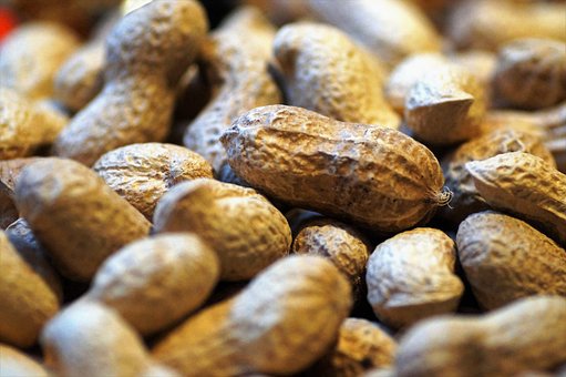 What is the Nutritional Value of Peanuts per 100g and Are Peanuts per 100g Healthy for You?