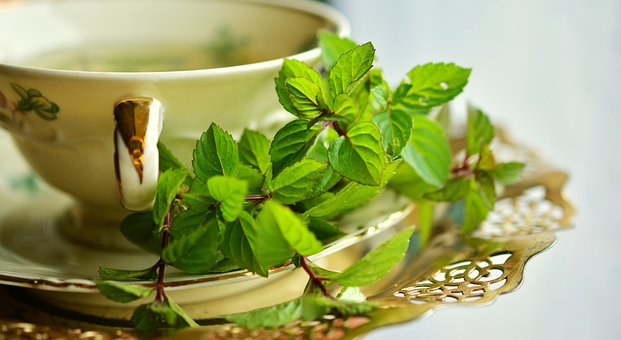 What is the Nutritional Value of Green Tea and Is Green Tea Healthy for You?