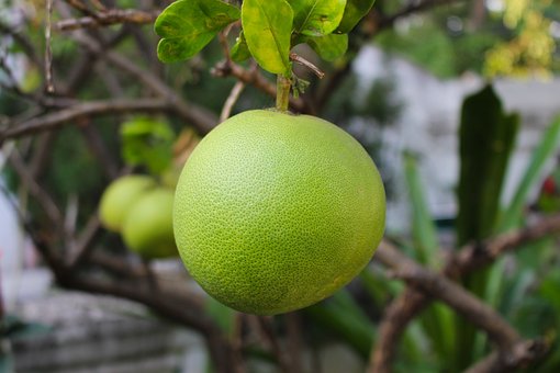 What is the Nutritional Value of Pomelo and Is Pomelo Healthy for You?