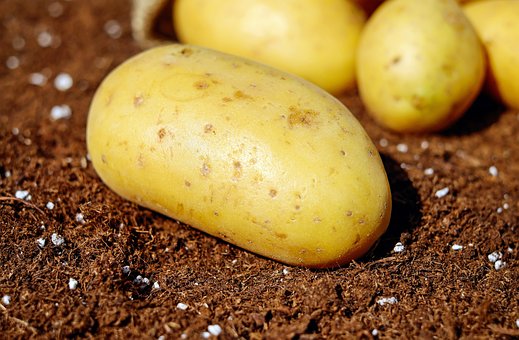 What is the Nutritional Value of Irish Potato and Is Irish Potato Healthy for You?
