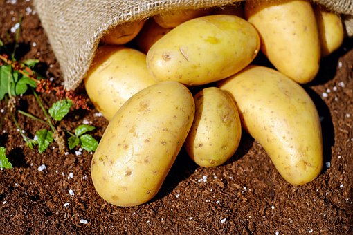 What is the Nutritional Value of Potatoes and Is Potatoes Healthy for You?