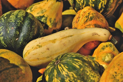 What is the Nutritional Value of Delicata Squash and Is Delicata Squash Healthy for You?