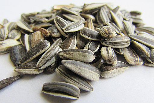 What is the Nutritional Value of Sunflower Seed per 100g and Is Sunflower Seed per 100g Healthy for You?