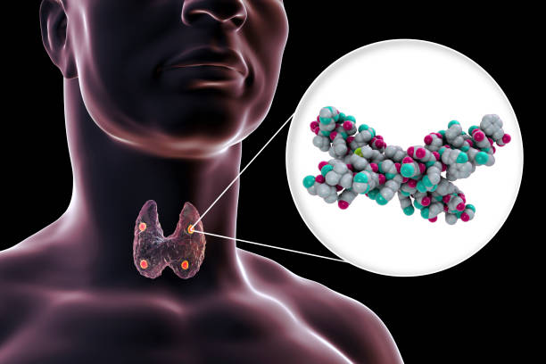 What are the Symptoms of Hypoparathyroidism and the Treatment for Hypoparathyroidism?
